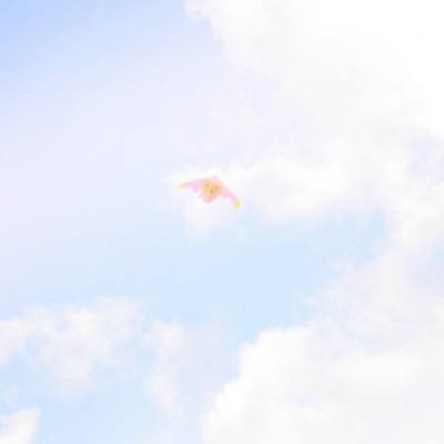 星际卫队九游版下载